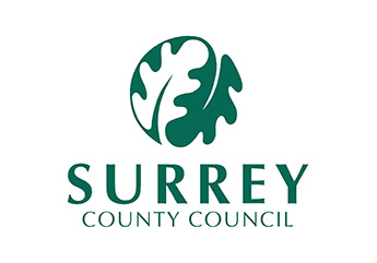 surrey council traffic surveys